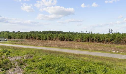 Photo #13 of Multiple Lots Black Creek Rd., Nichols, SC 6.7 acres