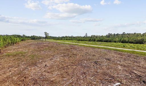 Photo #16 of Multiple Lots Black Creek Rd., Nichols, SC 6.7 acres
