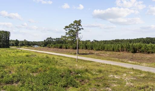 Photo #14 of Multiple Lots Black Creek Rd., Nichols, SC 6.7 acres