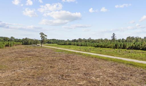 Photo #15 of Multiple Lots Black Creek Rd., Nichols, SC 6.7 acres