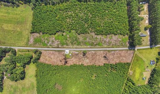 Photo #12 of Multiple Lots Black Creek Rd., Nichols, SC 6.7 acres
