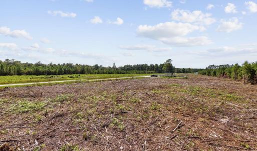 Photo #17 of Multiple Lots Black Creek Rd., Nichols, SC 6.7 acres