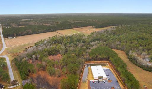 Drone / aerial view of a forest