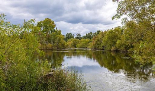 Water view with a heavily wooded area