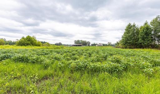 View of undeveloped land featuring rural landscape