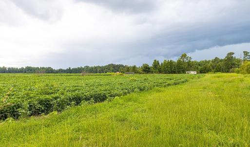 View of nature with rural landscape