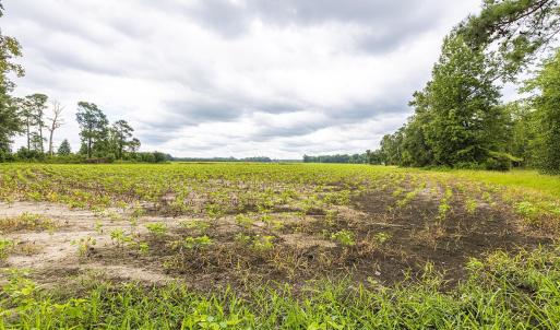 View of nature with rural landscape and extensive
