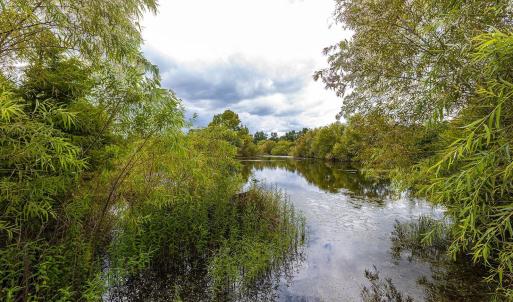 Water view featuring a heavily wooded area