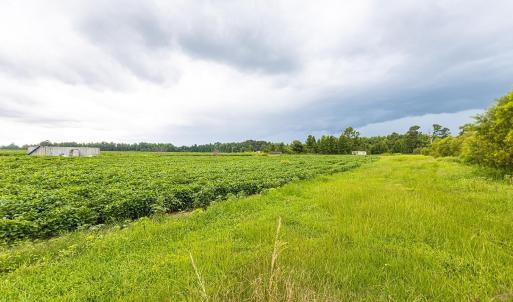 View of undeveloped land with rural landscape