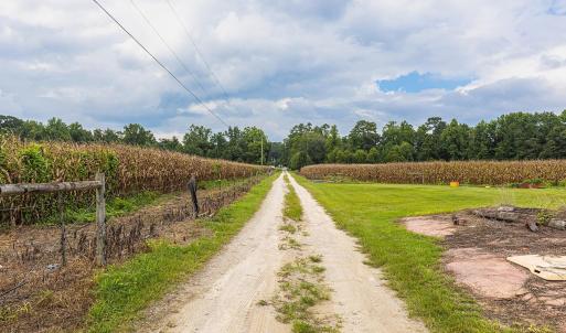 View of dirt / gravel road with a rural view