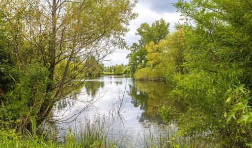 Water view featuring a forest