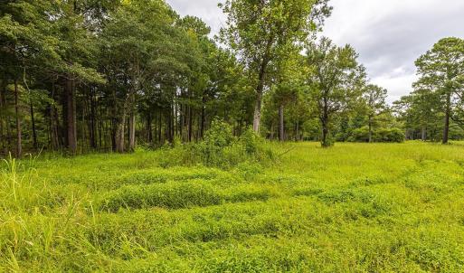 View of undeveloped land