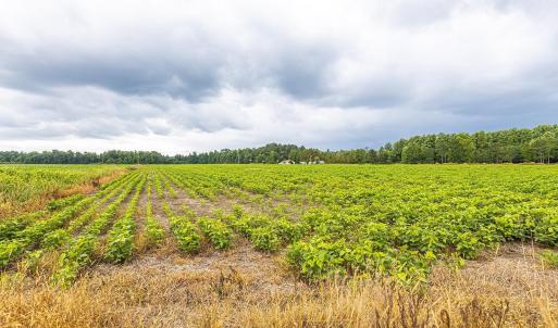 View of undeveloped land featuring large plots for