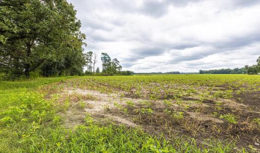 View of undeveloped land with rural landscape and