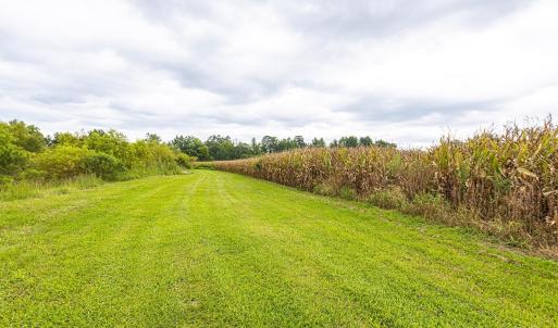View of grassy yard with a view of countryside