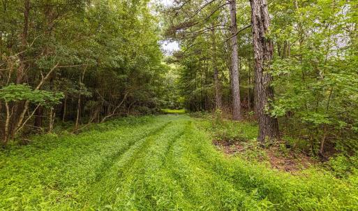 View of yard with a wooded view