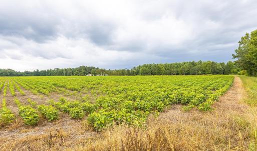 View of undeveloped land with large plots for crop