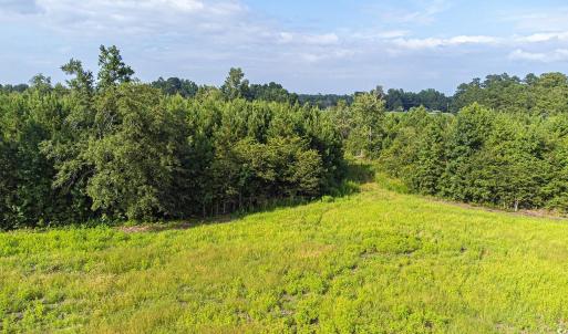 View of wooded area