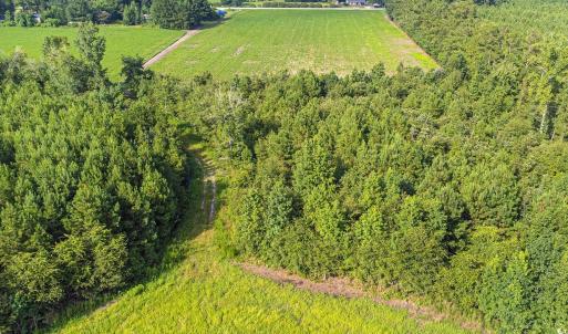 Bird's eye view of a heavily wooded area