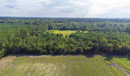 Drone / aerial view of a heavily wooded area