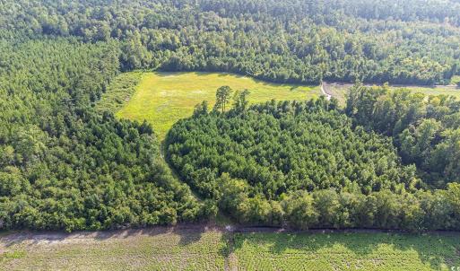 Bird's eye view of a heavily wooded area