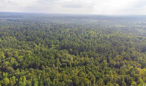 Aerial view of a heavily wooded area