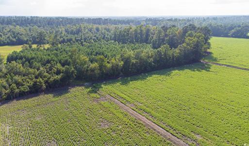 Aerial view of a heavily wooded area