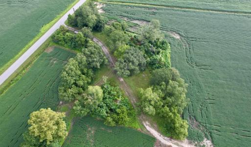 Photo #19 of 1335 Norwood Rd., Olanta, SC 175.0 acres