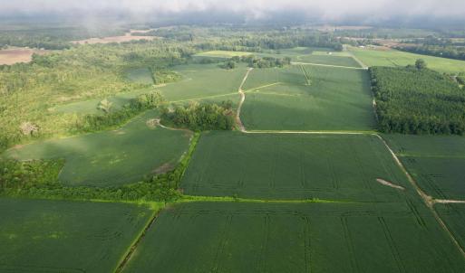 Photo #16 of 1335 Norwood Rd., Olanta, SC 175.0 acres