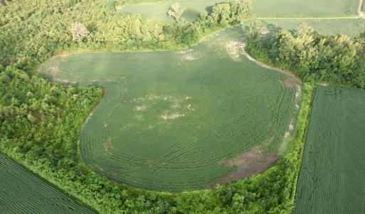 Photo #3 of 1335 Norwood Rd., Olanta, SC 175.0 acres