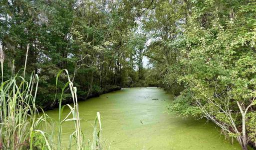 Photo #28 of 1335 Norwood Rd., Olanta, SC 175.0 acres
