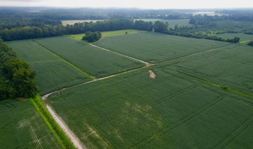 Photo #29 of 1335 Norwood Rd., Olanta, SC 175.0 acres