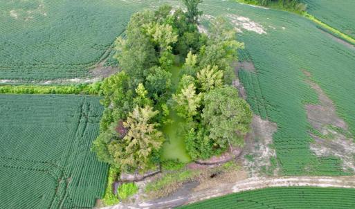 Photo #27 of 1335 Norwood Rd., Olanta, SC 175.0 acres