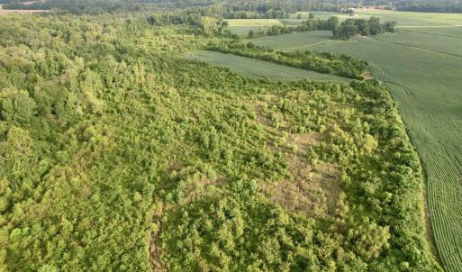 Photo #18 of 1335 Norwood Rd., Olanta, SC 175.0 acres