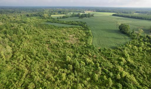 Photo #17 of 1335 Norwood Rd., Olanta, SC 172.0 acres