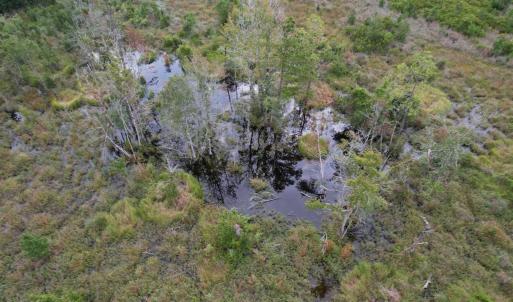 Photo #31 of 1335 Norwood Rd., Olanta, SC 172.0 acres