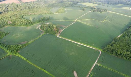 Photo #1 of 1335 Norwood Rd., Olanta, SC 172.0 acres