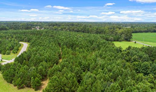 Photo #16 of TBD Pembroke Blvd., Johnsonville, SC 53.0 acres