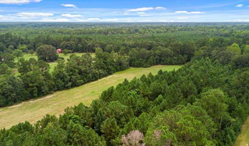 Photo #22 of TBD Pembroke Blvd., Johnsonville, SC 53.0 acres
