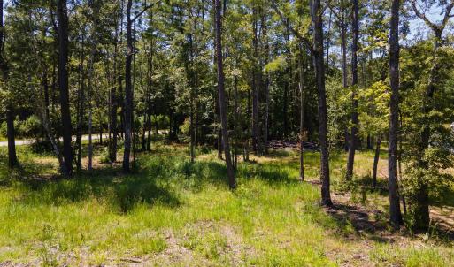 Photo #12 of 3598 Steamer Trace Rd., Conway, SC 1.4 acres
