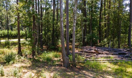 Photo #14 of 3598 Steamer Trace Rd., Conway, SC 1.4 acres
