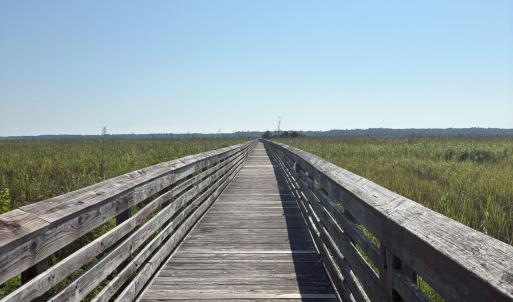 View of dock