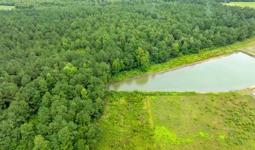 Drone / aerial view of a forest and a large body o