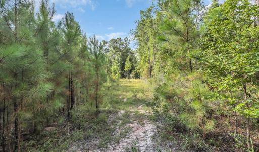 Photo #4 of TBD Creek Bend Rd, Georgetown, SC 5.0 acres