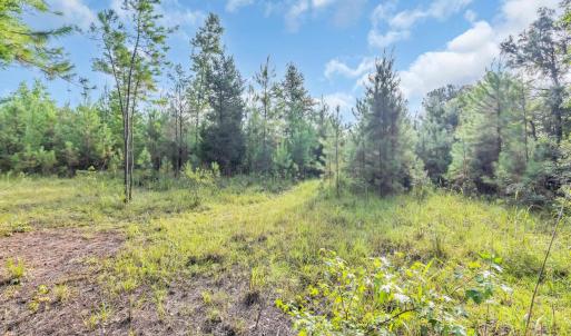 Photo #5 of TBD Creek Bend Rd, Georgetown, SC 5.0 acres