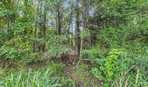 Photo #2 of TBD Creek Bend Rd, Georgetown, SC 5.0 acres