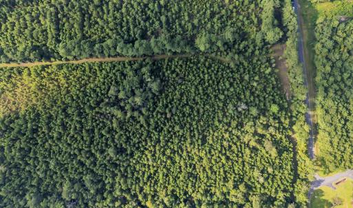 Photo #7 of TBD Creek Bend Rd, Georgetown, SC 5.0 acres
