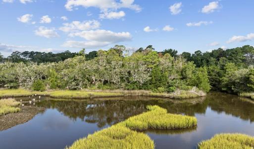 Water view featuring a heavily wooded area