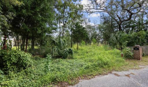View of undeveloped land