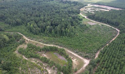 Photo #3 of 97.83 Acres-TBD Sugar Hill Fox Rd., Pamplico, SC 97.8 acres
